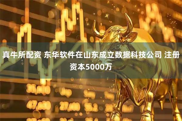 真牛所配资 东华软件在山东成立数据科技公司 注册资本5000万
