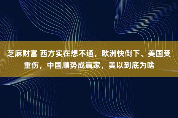 芝麻财富 西方实在想不通,欧洲快倒下、美国受重伤,中国顺势成赢家,美以到底为啥
